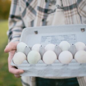Eggs - Brown Chicken Eggs x 3 months